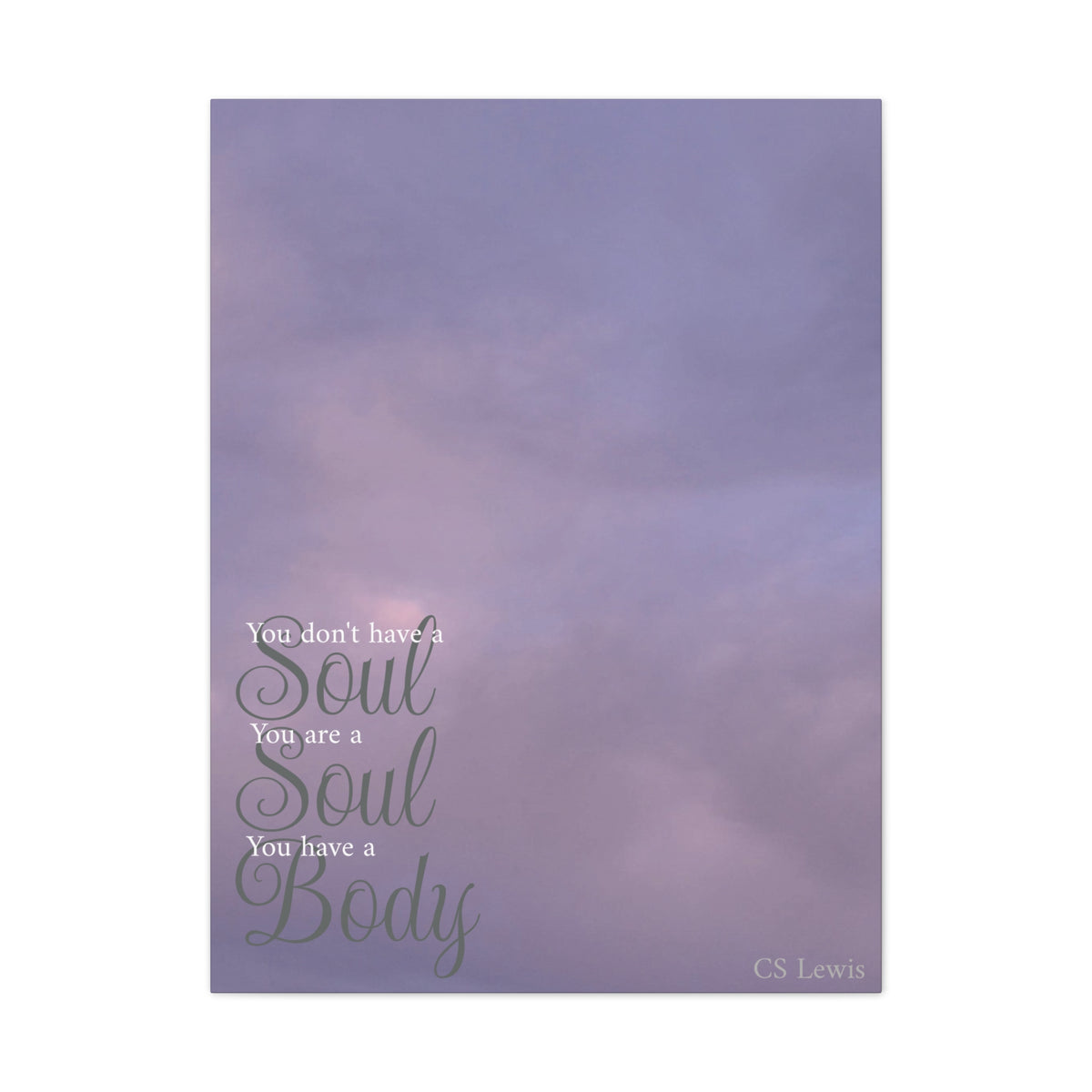 You Don't Have A Soul, You Are A Soul, Canvas