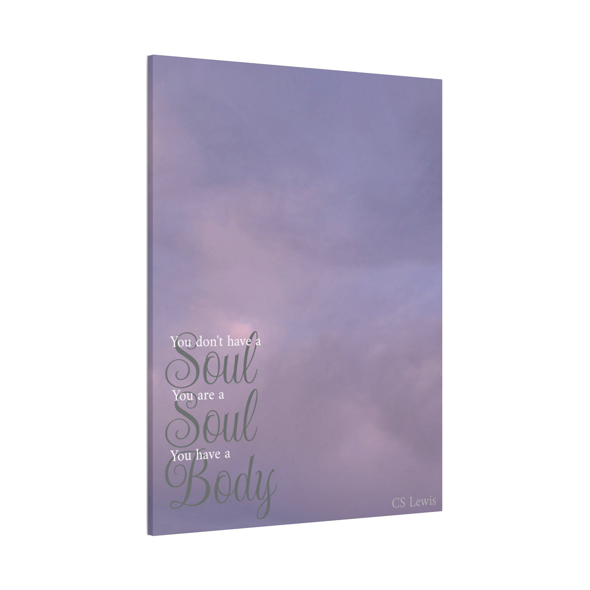 You Don't Have A Soul, You Are A Soul, Canvas