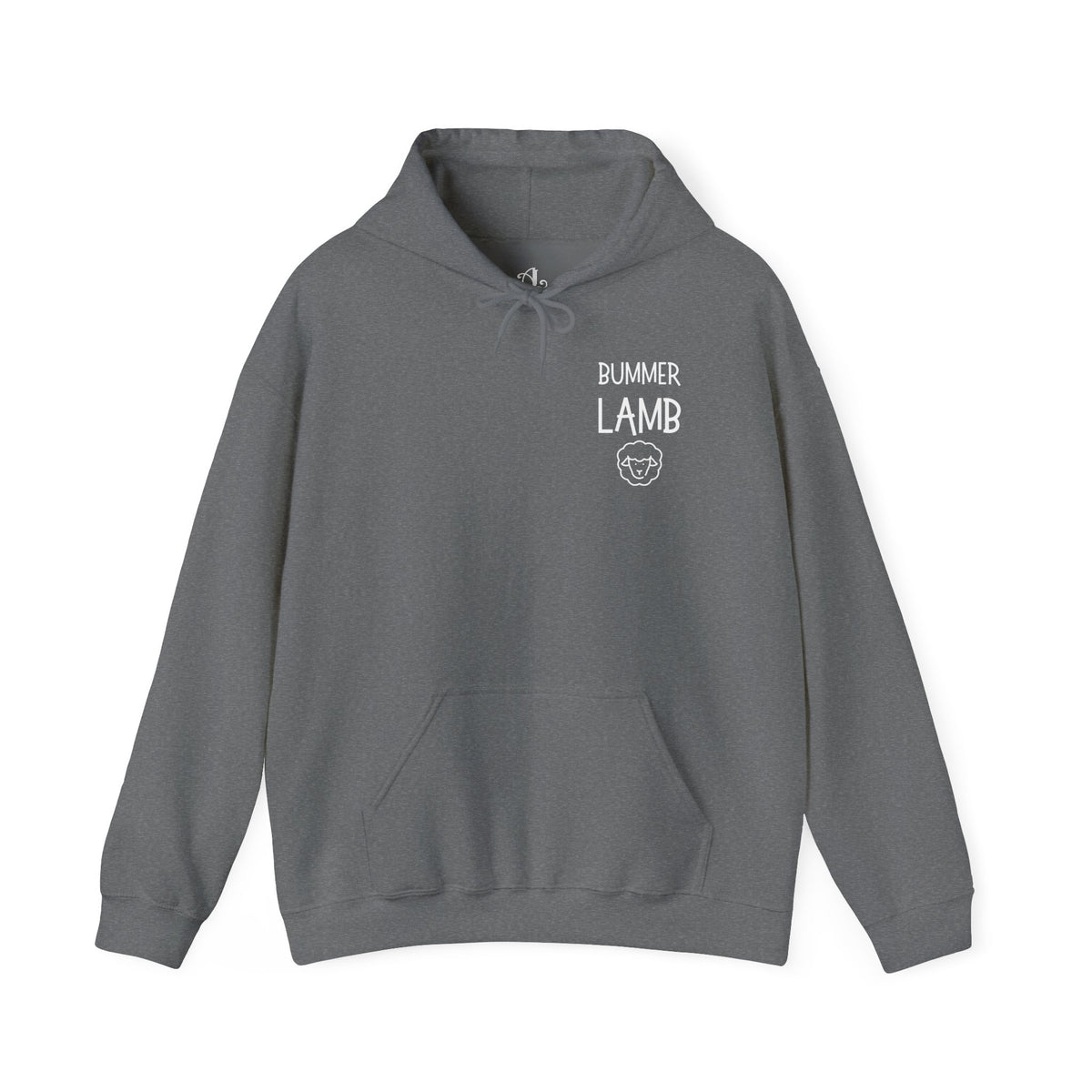 Bummer Lamb, Hoodie