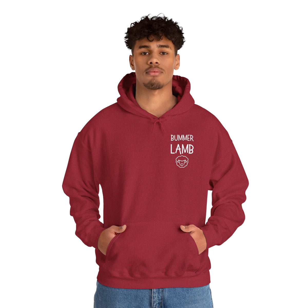 Bummer Lamb, Hoodie