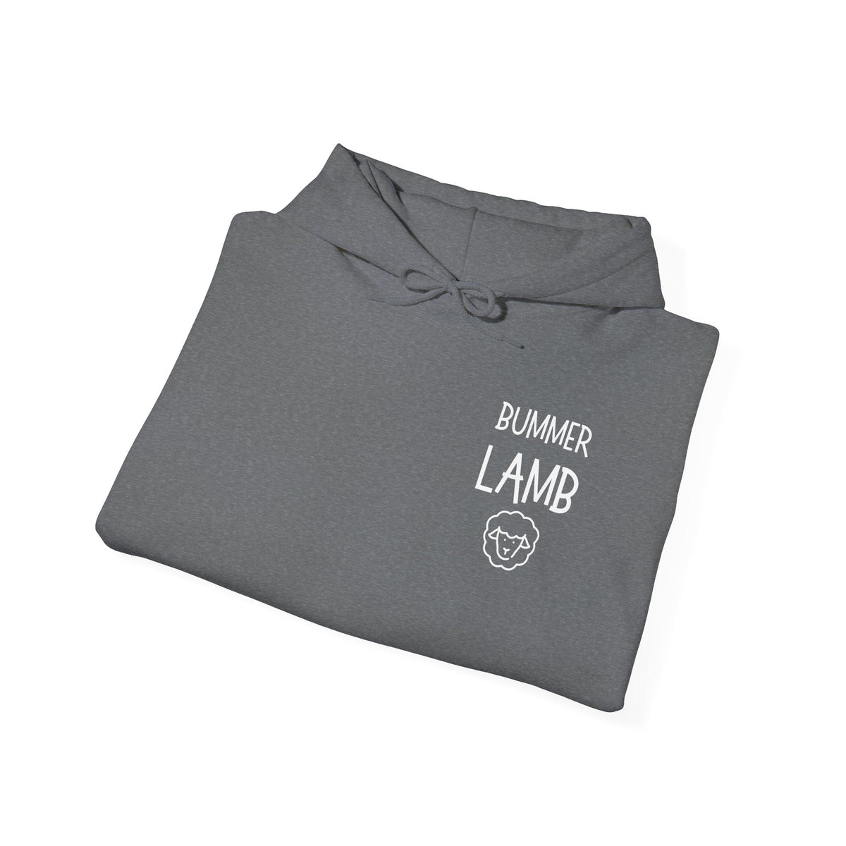 Bummer Lamb, Hoodie