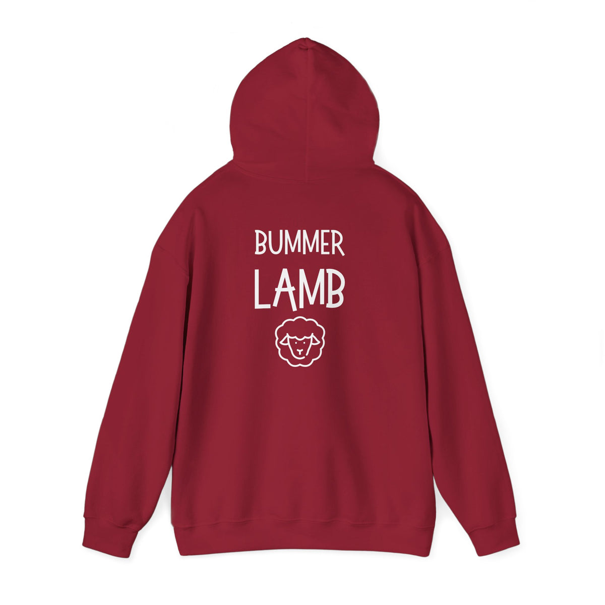 Bummer Lamb, Hoodie