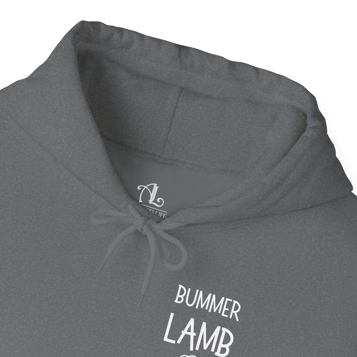 Bummer Lamb, Hoodie