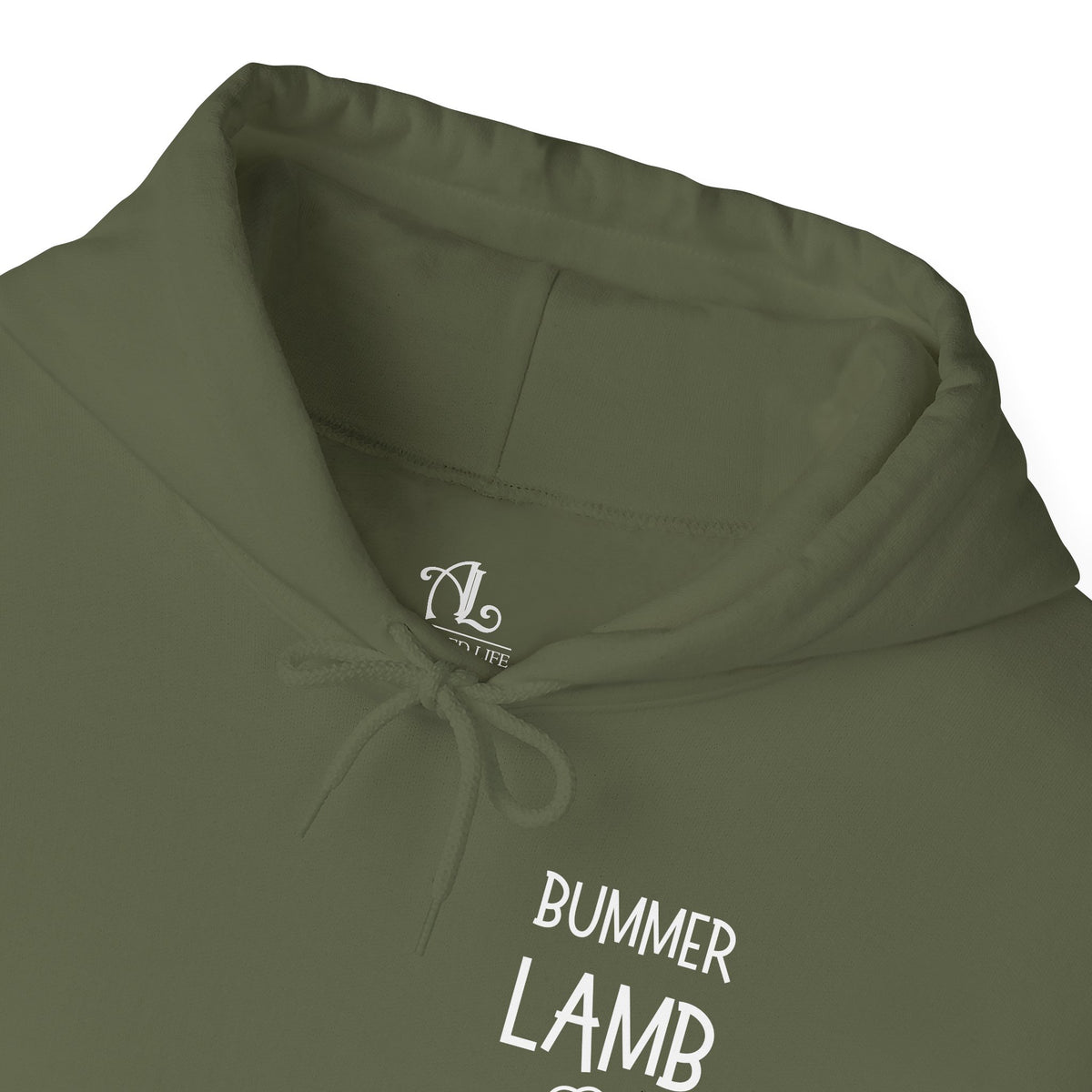 Bummer Lamb, Hoodie