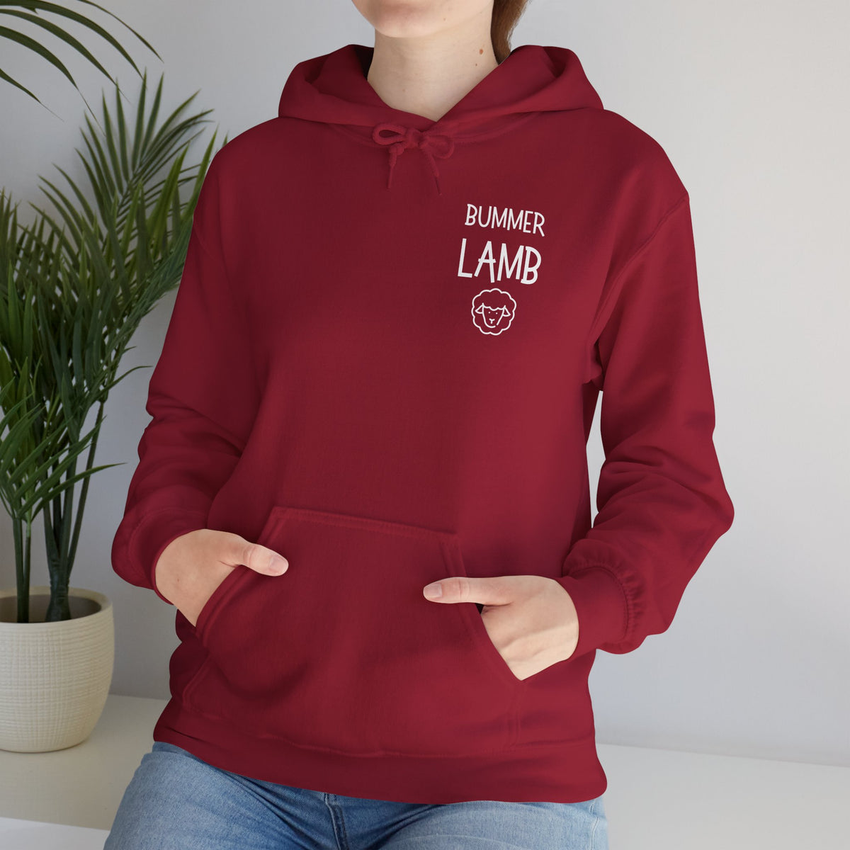 Bummer Lamb, Hoodie
