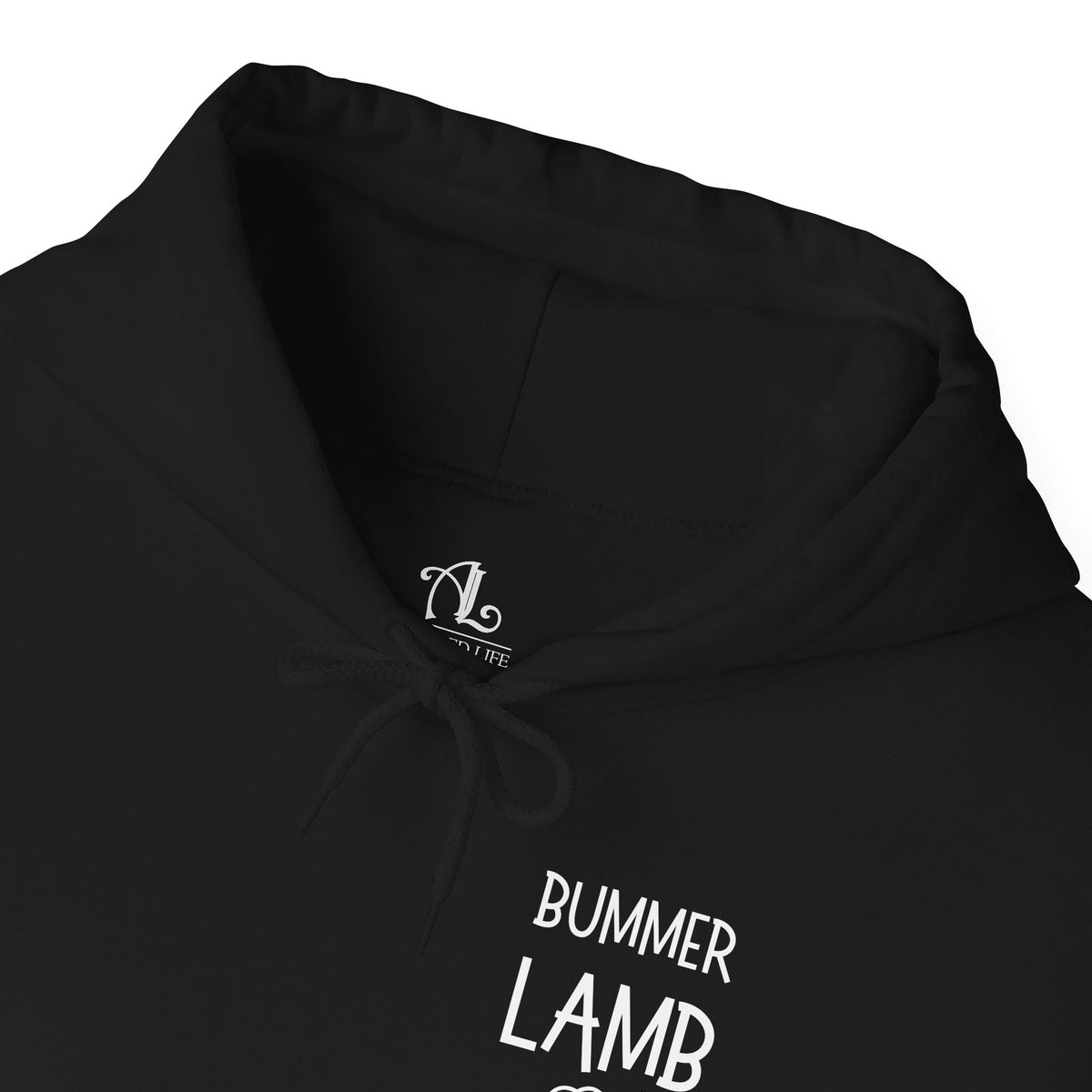 Bummer Lamb, Hoodie